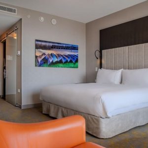 Hotel X- 1 King bed room