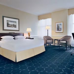 Drake-1 King Bed Studio Suite Lakeview