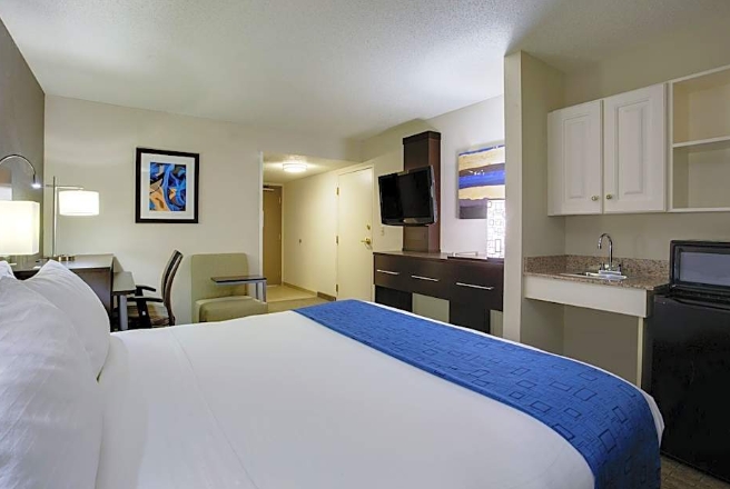 1 King Bed, Mobility Accessible, Bathtub-Holiday Inn Express Hotel & Suites Meadowlands Area