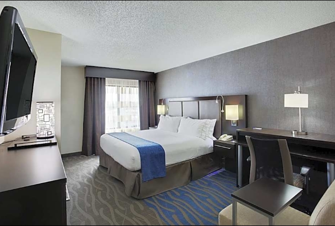 Standard 1 King Bed-Holiday Inn Express Hotel & Suites Meadowlands Area