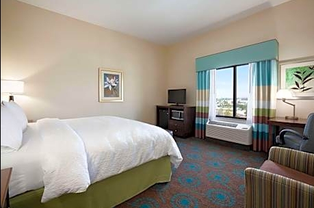 1 King Bed-Hampton Inn Los Angeles Int’l Airport/Hawthorne