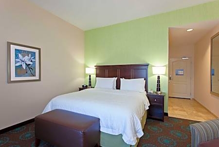 1 King Bed, Hearing/Mobility Accessible, Bathtub-Hampton Inn Los Angeles Int’l Airport/Hawthorne