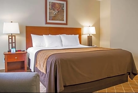 Standard 1 King Bed-Comfort Inn Cockatoo