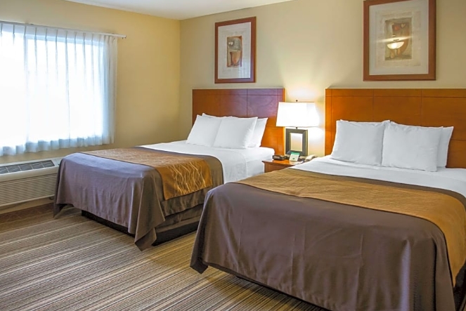 Efficiency 2 Queen Beds-Comfort Inn Cockatoo