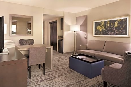 1 King Bed with Sofabed Suite-Embassy Suites by Hilton Atlanta Centennial Park
