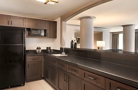 1 King Bed Suite-Embassy Suites by Hilton Atlanta Centennial Park