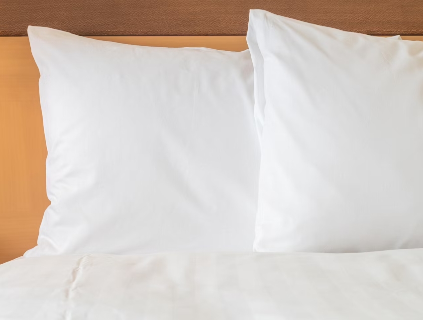 Standard Room-Hotel Indigo Atlanta Downtown