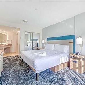Studio 1 King Bed with Sofabed, Hearing/Mobility Accessible, Roll in Shower