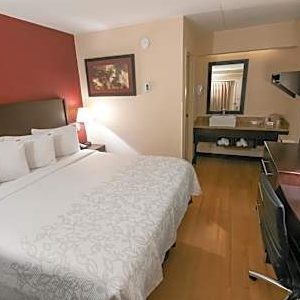 Superior 1 King Bed-Red Roof PLUS+ Secaucus - Meadowlands