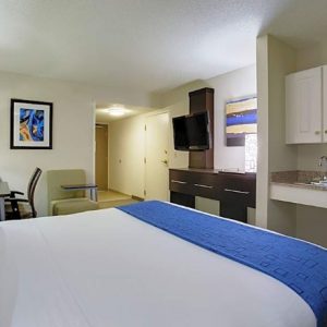 1 King Bed, Mobility Accessible, Bathtub-Holiday Inn Express Hotel & Suites Meadowlands Area