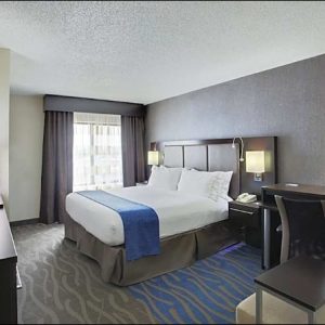 Standard 1 King Bed-Holiday Inn Express Hotel & Suites Meadowlands Area