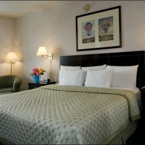 King Bed HC-Meadowlands Plaza Hotel