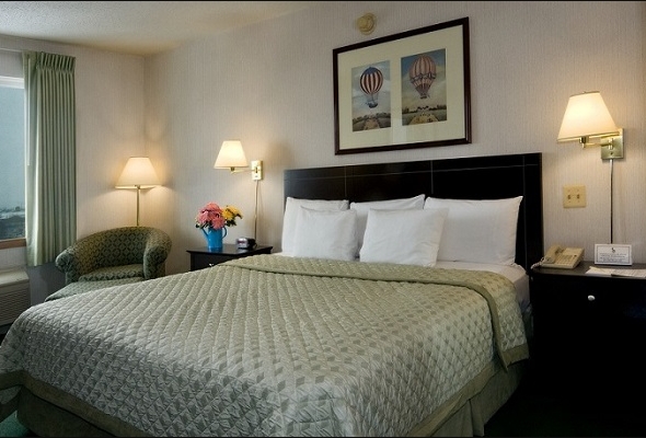 King Bed HC-Meadowlands Plaza Hotel