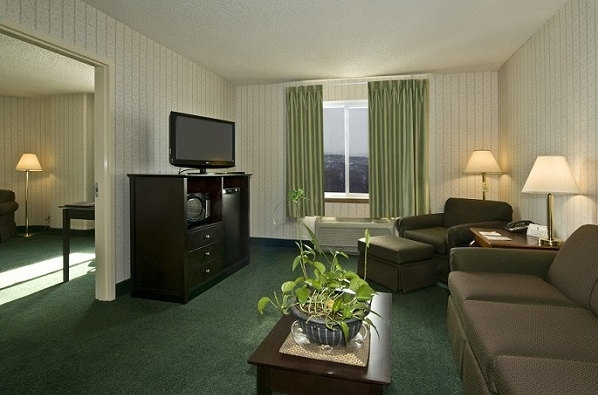 2 Rm Suite Kg/Sofa-Meadowlands Plaza Hotel