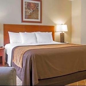 Standard 1 King Bed-Comfort Inn Cockatoo