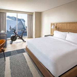 1 King Bed-Signia By Hilton Atlanta Georgia World Congress Center