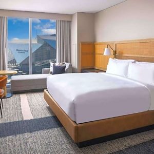 1 King Bed, City View-Signia By Hilton Atlanta Georgia World Congress Center