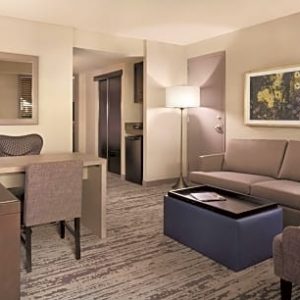1 Bedroom 1 King Bed with Sofabed Suite-Embassy Suites by Hilton Atlanta Centennial Park