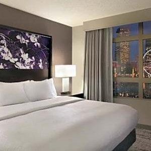 1 Bedroom 1 King Bed with Sofabed Suite-Embassy Suites by Hilton Atlanta Centennial Park