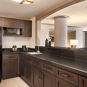 1 King Bed Suite-Embassy Suites by Hilton Atlanta Centennial Park