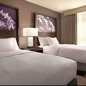 2 Queen Beds-Embassy Suites by Hilton Atlanta Centennial Park