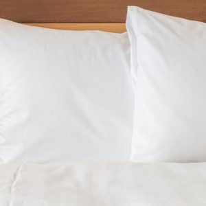 Standard Room-Hotel Indigo Atlanta Downtown